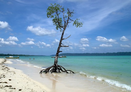 World Trip Planer