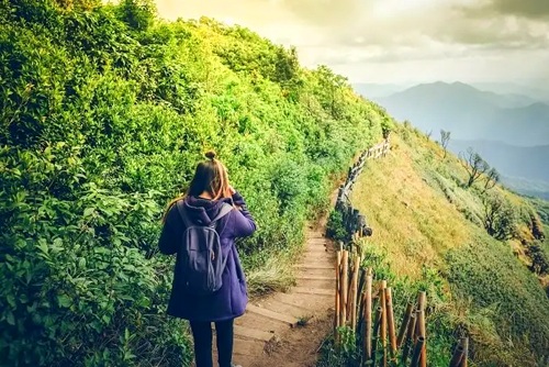 Shimla Kasauli View